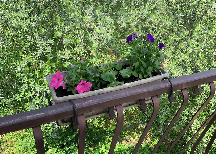 Klara&ivan * Spalato