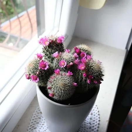 アパート Klara&ivan スプリト