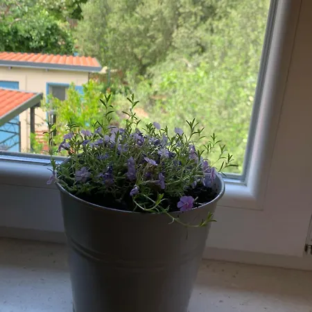 Apartament Klara&ivan Split