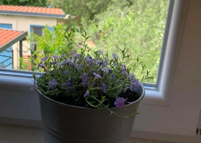 アパート Klara&ivan スプリト