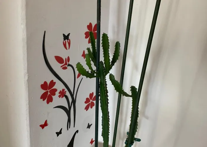 Klara&ivan アパート