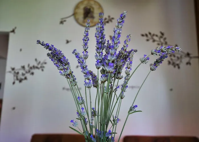 Klara&ivan アパート